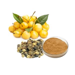 Polvo de extracto seco Makoi de calidad superior, ingrediente de Sombra Nocturna negro Natural, Ideal para el procesamiento de alimentos, suplementos nutricionales - Product Image 4