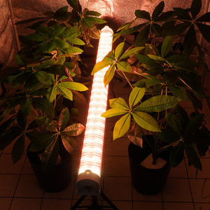 Luces de Cultivo Meijiu de 120w con 2 Canales de Atenuación, Color Rojo Tomate, para Interiluminación Bajo el Techo de Invernaderos en Arabia Saudita - Product Image 5
