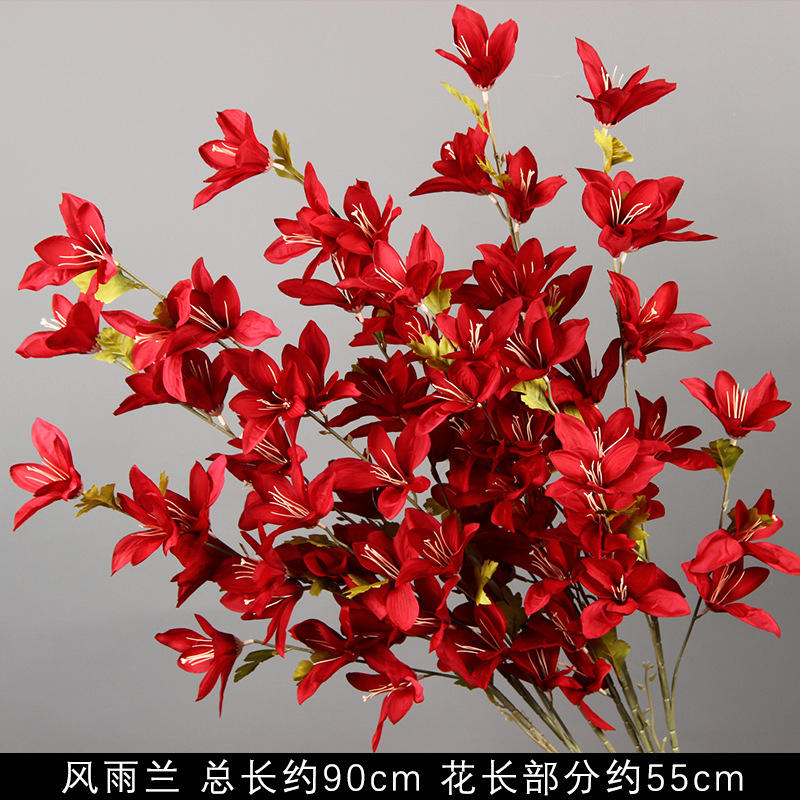 Red Wind and Rain Orchid/branch