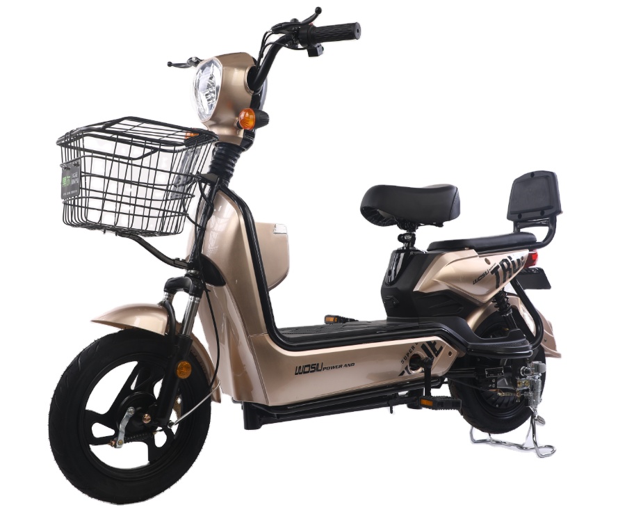 MAX50km】電動自転車 750W48v20ah - 自転車本体 | 快適な