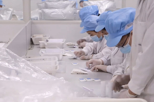 WDWK BIOTECH Набор для быстрого количественного флуоресцентного тестирования дезоксиниваленола (ДОН) для определения микотоксинов в кормах и зерне, простое в использовании - Product Image 6