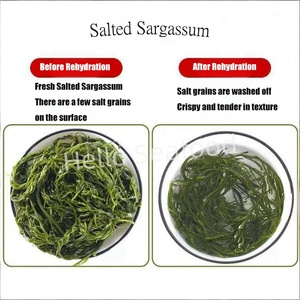 Precio al por mayor Salado Sargassum Algas Saludables Océano Vegetales Delicadeza - Product Image 4