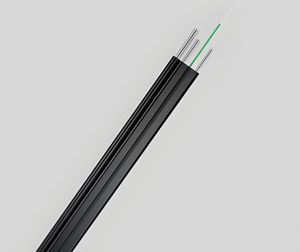 <span class=keywords><strong>สาย</strong></span>เคเบิลใยแก้วนำแสงแบบมีปลอกหุ้ม PE รุ่น G652D แบบ Single/Multi-Mode พร้อมตัวนำ<span class=keywords><strong>ทองแดง</strong></span> (2-30) สำหรับการใช้งานสื่อสารภายนอกอาคาร - Product Image 1