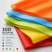 Tissu Ripstop en Nylon 66 30D Haute Résistance et Léger pour Parapente, Revêtement Silicone Personnalisé, Fabricant OEM ODM Marque Privée