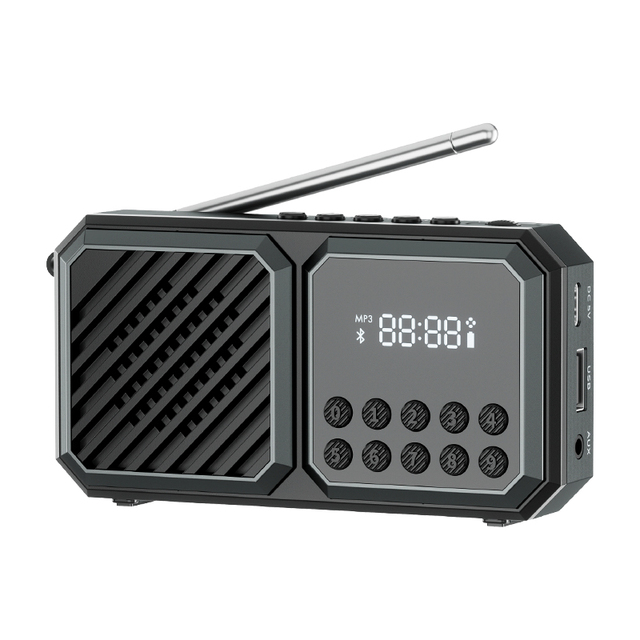 Factory Best Price Portable FM Radio Mini Home Radio BT Digital Radio Original Support TF Card FM