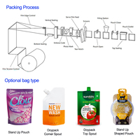 Machine d'emballage FFS automatique pour sachets souples à fond plat et sachets à bec verseur ULTRAClean, pour le remplissage de liquides