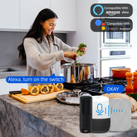 Prise Intelligente SIXWGH Tuya Bluetooth Adaptateur UE Domotique Équipement Électrique Plastique WiFi Compatible Google