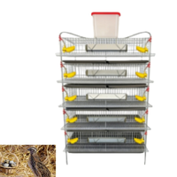 Cage d'élevage de cailles multi-niveaux de qualité supérieure, équipement avicole de qualité commerciale, approvisionnement direct