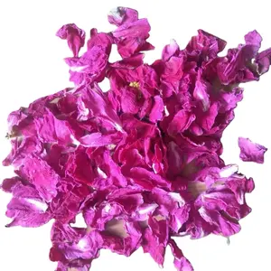 Mu Dan — thé aux herbes de pivoine rose séchée, pétales de fleurs parfumées, vente en gros,