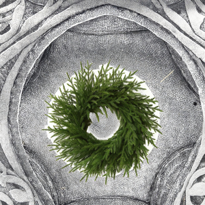 Ghirlanda verde ecologica <span class=keywords><strong>per</strong></span> ghirlanda <span class=keywords><strong>di</strong></span> pino artificiale Norfolk realistica da 24 pollici <span class=keywords><strong>per</strong></span> la <span class=keywords><strong>porta</strong></span> d'ingresso interna esterna <span class=keywords><strong>per</strong></span> le vacanze - Product Image 3