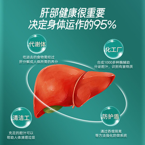 แผ่นแปะดูแลสุขภาพแผ่นแปะสมุนไพรสกัดตับดีท็อกซ์แผ่นทำความสะอาด6ชิ้น/กล่องสำหรับดูแลร่างกายอื่นๆ - Product Image 3