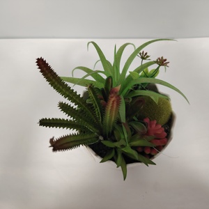 Arreglo <span class=keywords><strong>de</strong></span> Plantas Suculentas Artificiales en Maceta <span class=keywords><strong>de</strong></span> Cerámica Blanca - <span class=keywords><strong>Cactus</strong></span> Artificial Realista para Decoración del Hogar, Oficina y Escritorio - Product Image 2