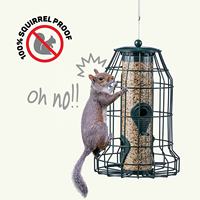 Mangeoire à oiseaux anti-écureuils suspendue en métal avec tube en PC, graines mélangées, distributeur automatique pour jardin