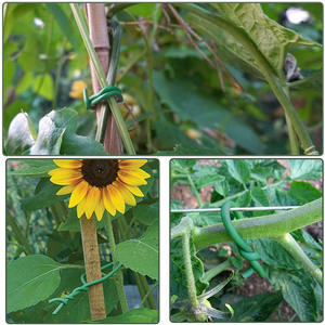 Câble de <span class=keywords><strong>fixation</strong></span> facile pour l'horticulture de jardin, câble en plastique pour plantes grimpantes, corde de soutien pour fixer les roses, fil de soutien pour attacher les fleurs - Product Image 2