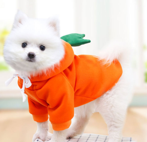 Hot Selling Winter Huisdieren Kleding Kerstkleding Voor Puppy Honden Kostuum - Product Image 5