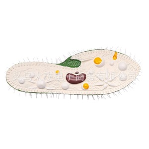 Modèle Paramecium : Un modèle de recherche et de démonstration pour l'enseignement de la biologie en classe au collège et au lycée. - Product Image 5