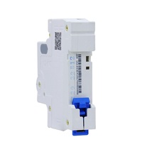 CHINT NXB-40 NXBLE-40 DPN DPNL 1P+N Remplace DZ267-32 4600A 50/60Hz Protection contre les fuites sur rail DIN Disjoncteur miniature Courbe BCD C
