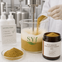 Poudre d'extrait d'écorce de Quillaja sauvage - 60% Saponines Polyphénols Extrait végétal naturel pour l'utilisation alimentaire et en boisson - Fût