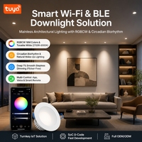 Solution Tuya Smart Wi-Fi et Bluetooth LE pour downlights et projecteurs, gradation et réglage des couleurs, contrôle de la minuterie, développement de cartes PCBA personnalisées