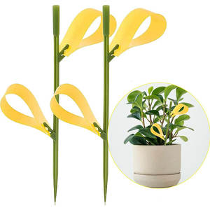 Offre Spéciale plante Bug pièges collants intérieur vert collant étanche plante d'intérieur <span class=keywords><strong>mouche</strong></span> moucheron pièges - Product Image 1