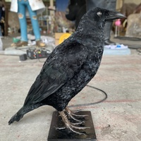 Statue de Corbeau Animatronique Réaliste Grandeur Nature, Sculpture de Corbeau de Simulation, Décoration d'Intérieur pour Halloween, Maison Hantée, Thème Sombre, Accessoire de Décoration