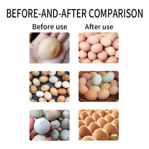 Aditivo alimenticio <span class=keywords><strong>para</strong></span> <span class=keywords><strong>aves</strong></span> de huevo que previene la piel de la arena y los huevos de piel suave Aminoácidos de grado - Product Image 6