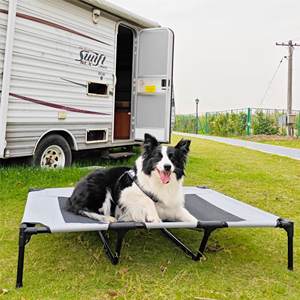 CanboPet-Cuna plegable para mascotas, cama elevada para exteriores, portátil, transpirable, con marco de acero - Product Image 1