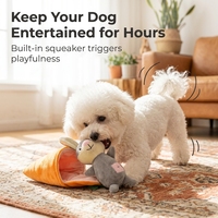 Jouet interactif pour chien en peluche, couineur et à bruit froissé, pour cachette et puzzle de friandises, formes banane, singe, carotte, lapin