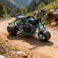 Triciclo de derrape a gas para adultos, kart todoterreno de 3 ruedas, vehículo mini de carreras para todo tipo de terrenos y la