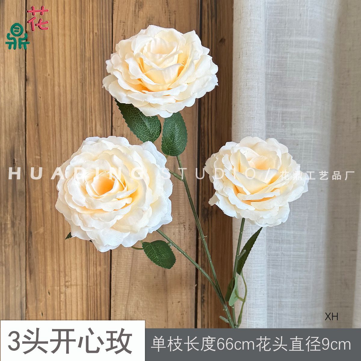 กุหลาบแฮปปี้โรส XH แชมเปญ 3 หัว