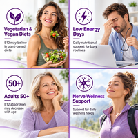 Comprimés sublinguaux de vitamine B12 méthylcobalamine sous marque privée – Compléments alimentaires quotidiens – Fournisseur d'usine OEM ODM – Vente en gros
