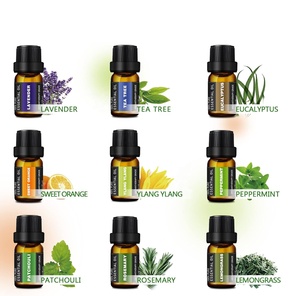 Aceite Esencial Natural de Marca Privada de 10 ml para <span class=keywords><strong>Aromaterapia</strong></span>, para Difusor, Humidificador, Aceite de <span class=keywords><strong>Aromaterapia</strong></span> para Velas, Elaboración de Perfumes - Product Image 1