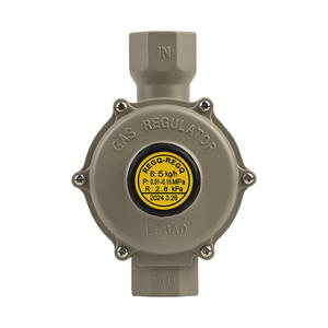 4 точки угловой структуры газовый редукционный клапан низкого давления 5 кг промышленный класс утолщенный корпус клапана Пневматический взрывозащищенный - Product Image 1