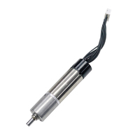 Smart Hand 6mm 8mm 10mm 12mm Robot Maxon Faulhaber RE EC Reemplazo de motor sin ranura sin núcleo con codificador de caja de engranajes planetarios