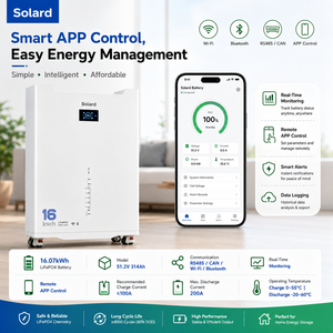Batterie de stockage LiFePO4 solaire autonome extérieure 16 kWh 51,2 V 314 Ah empilable, intelligente, Wi-Fi, sans entretien et fiable - Product Image 3