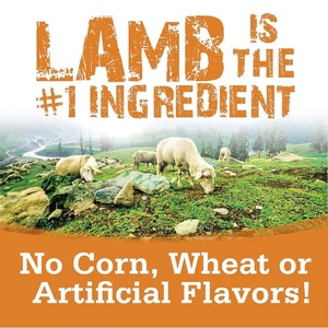 OEM/ODM Marca Privada Nutrición Inmunológica para Mascotas Chondroprotector Protege las Articulaciones para Perros Probióticos Masticables Funcionales para la Movilidad - Product Image 3