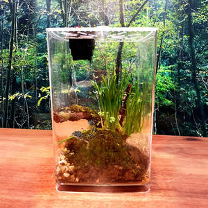 Boîte d'élevage anti-évasion transparente et écologique en acrylique et plastique pour araignées, insectes et reptiles - Product Image 6