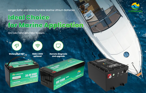 リチウムイオン12 V 24 V 36 Vバッテリー12ボルト24ボルト36ボルト100Ah 105Ah 200Ah LiFePO4マリンバッテリーMarineTrollingモーター用 - Product Image 4