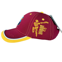 Casquette de cricket marron avec écusson d'équipe brodé, logo personnalisé, style vintage sportif, visière incurvée réglable à double couche, casquette de baseball