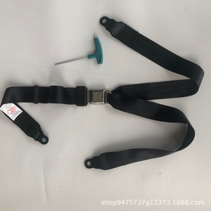 Ceinture de sécurité à trois points en forme de Y pour les manèges et les voitures, boucle en métal personnalisable, ceinture de sécurité à 3 points - Product Image 4