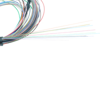 Kabel Patch Cord MPO ke LC FTTH Singlemode 12 Core 0.9mm dengan Rakitan Fanout, Garansi 1 Tahun