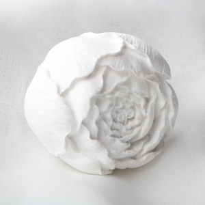 FinRu Home Decor Natural Essential Oil Stone Ceramic Diffusers Reed Diffuser Aroma Sticks Air Freshener Car with Cheap Price