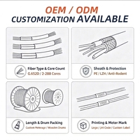 Kabel Fiber Optik GYTA 32 Core Single Mode 9/125 Berlapis Baja untuk Pemasangan Luar Ruangan dan Penanaman Langsung Bersertifikasi CE/ROHS dengan Garansi 10 Tahun