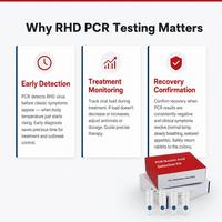 Kit de Prueba PCR de Ácido Nucleico para la Enfermedad Hemorrágica del Conejo (RHD), Certificado CE Clase II, Preciso para Granjas y Hospitales Veterinarios, 1 Año de Duración