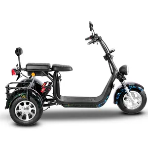 Triciclo certificato cee COC 2000w grasso pneumatico a tre ruote mobilità elettrica Scooter trike prezzo di fabbrica ciclomotore per adulti