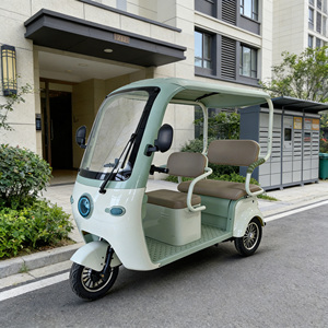 Scooter de 3 Ruedas Holladay, 650W, Bicicleta Eléctrica para Desplazamientos Urbanos, Rickshaws en Oferta, Triciclos para Adultos, Motor de Alta Potencia, Motor de 3600W - Product Image 6