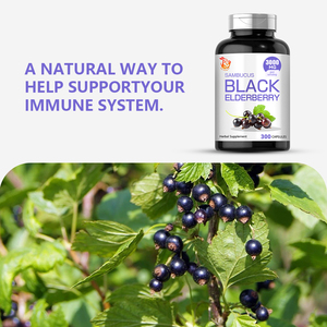 Complément alimentaire à base de plantes OEM ODM pour le soutien immunitaire, extrait d'églantier, stimulant d'énergie pour adultes, capsules d'églantier noir - Product Image 2