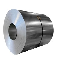 Tôle/Bobine/Plaque d'Acier Galvanisé à Froid/Trempé à Chaud, Revêtu de Zinc (PPGI/HDG/GI/SECC DX51), Bobines/Métaux Sidérurgiques