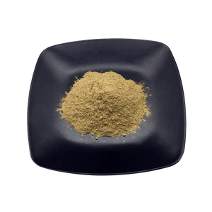 Extracto de Dendrobium Officinale, Polisacárido de Dendrobium, Extracto de Planta, Materia Prima de Grado Alimenticio - Product Image 2