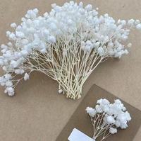 G179 Mini 50 pièces de gypsophile préservée, souffle de bébé, vente en gros, décorations de mariage pour la Saint-Valentin et Noël